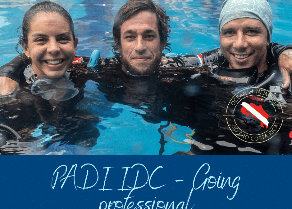 The PADI IDC in Costa Rica