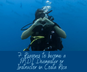 7 Reasons to become a PADI Professional