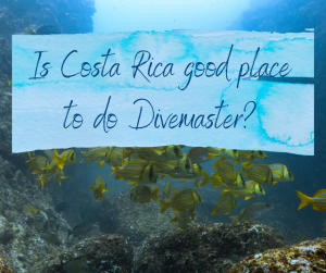 Is Costa Rica a good place to do Divemaster?