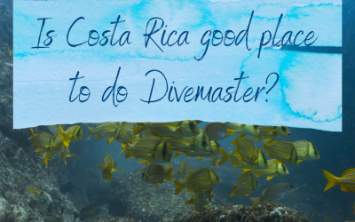 Is Costa Rica a good place to do my PADI Divemaster?