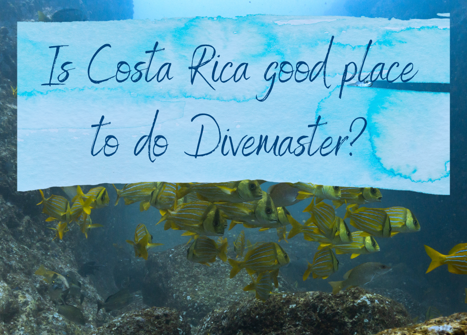 Is Costa Rica a good place to do my PADI Divemaster?