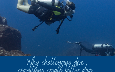 Why Challenging Dive Conditions Create Better Dive Professionals