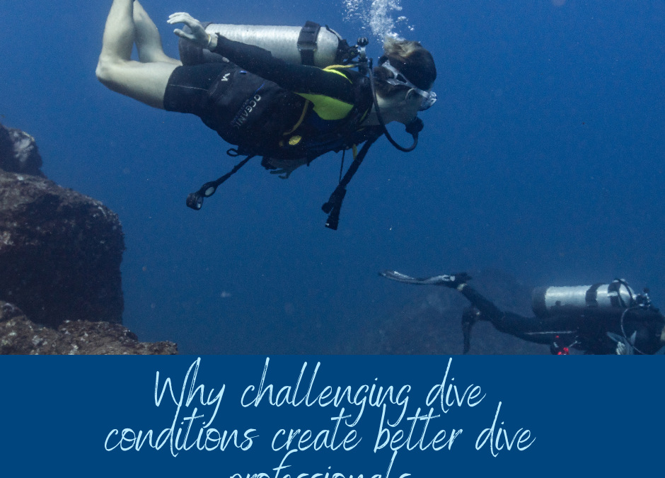 Why Challenging Dive Conditions Create Better Dive Professionals
